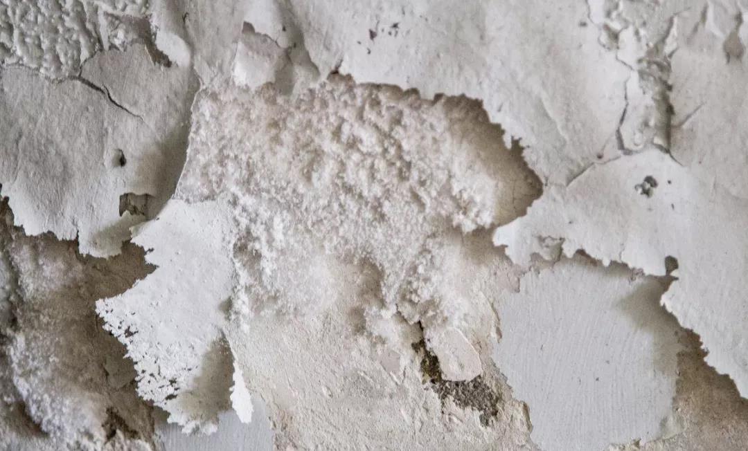 墙面潮湿起皮脱落怎么处理
