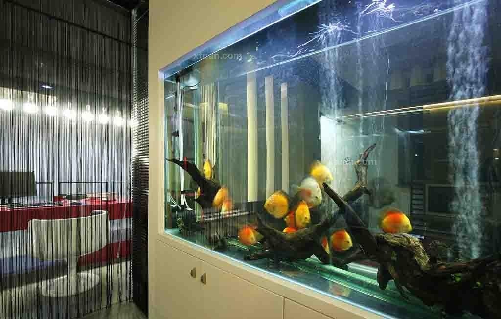 办公室装修风水解析,鱼缸该养多少条鱼合适?